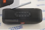 Портативная акустическая колонка JBL Tuner with FM Radio