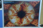 Видеокарта GIGABYTE Radeon RX 5600 XT DirectX 12 GV-R56XTGAMING OC-6GD 6GB 192-Bit GDDR6