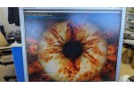 Видеокарта SAPPHIRE Pulse Radeon RX 6600 XT 8GB GDDR6 PCI Express 4.0
