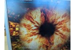 Видеокарта ASUS Dual Radeon RX 5600 XT DUAL-RX5600XT-T6G-EVO 6GB 192-Bit GDDR6 PCI Express 4.0