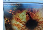 Видеокарта ASUS Dual Radeon RX 5600 XT DUAL-RX5600XT-T6G-EVO 6GB 192-Bit GDDR6 PCI Express 4.0