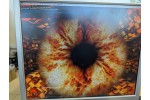 Видеокарта PNY GeForce GTX 1660 SUPER Single Fan 6GB