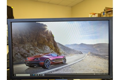 Монитор Dell P2411Hb (24